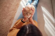 How Do Cats Care for Humans? 10 Adorable Ways